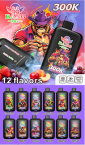 QQBANG300KPRO